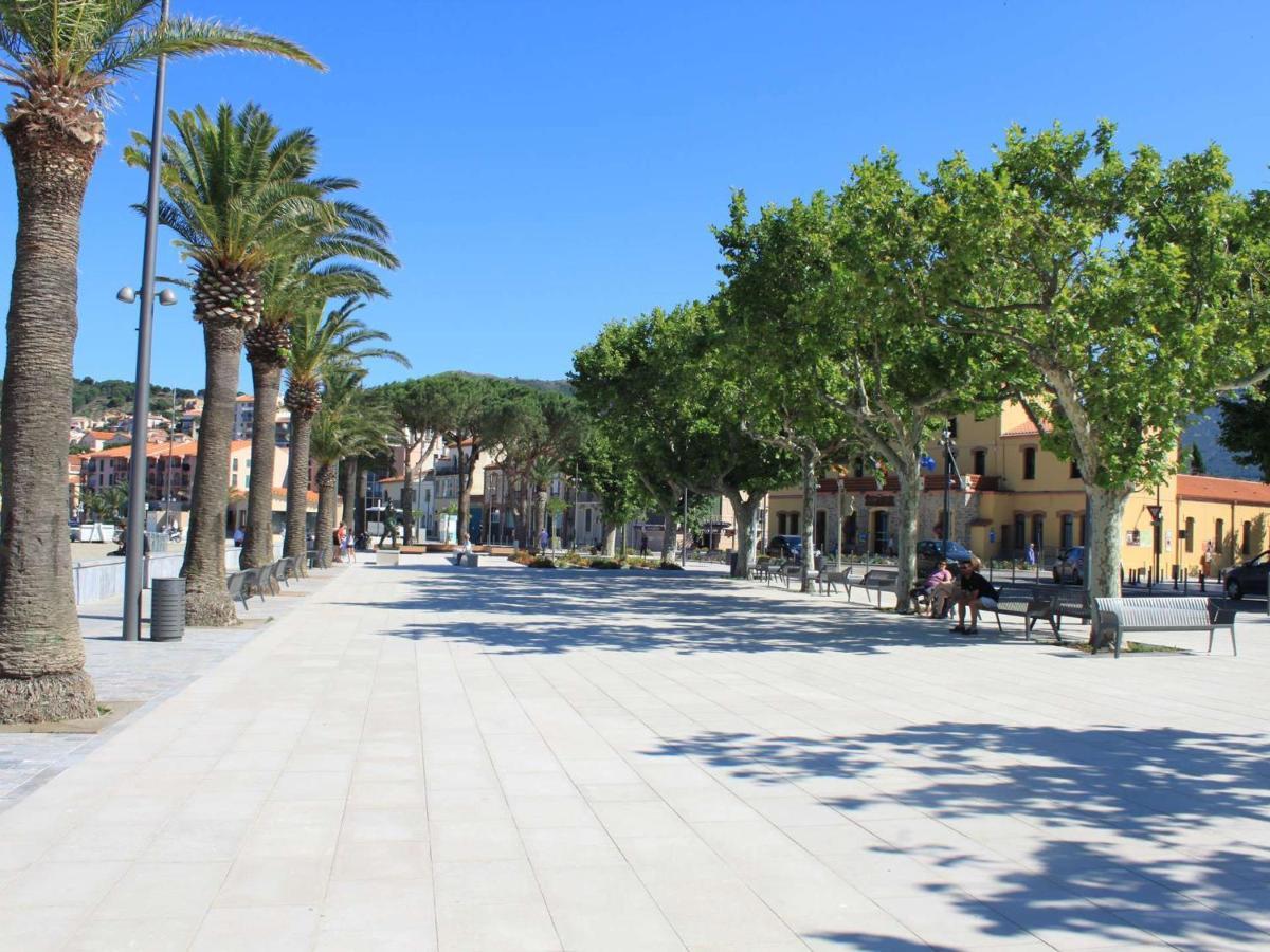 Appart T1 A 250M Plage, Clim, Wifi, Parking, Centre Banyuls - Fr-1-225C-75 Exterior photo